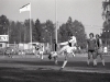 FIF-IFK Mais 2-1 1981